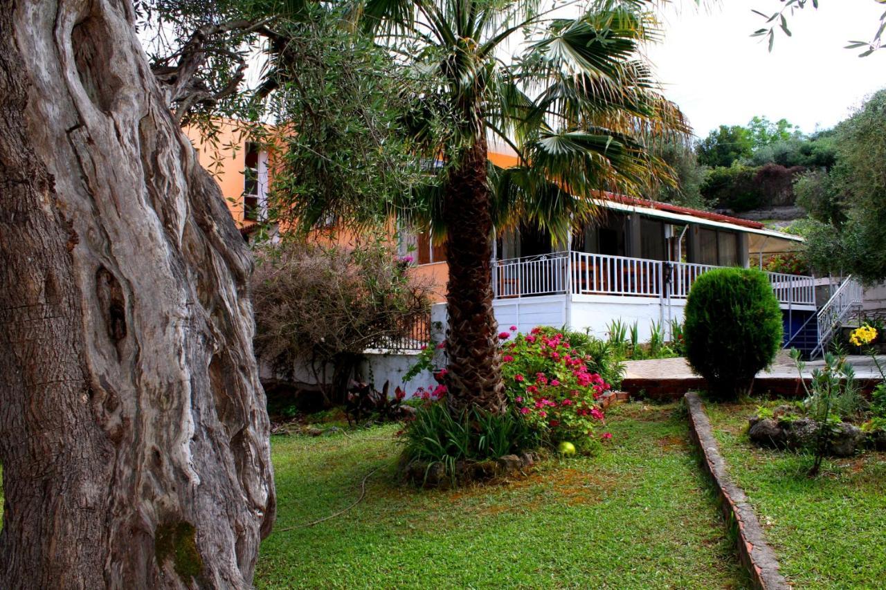 Tina Hotel Dassia  Exterior foto